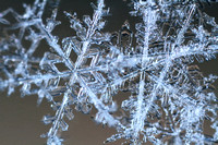 Snowflake Pileup